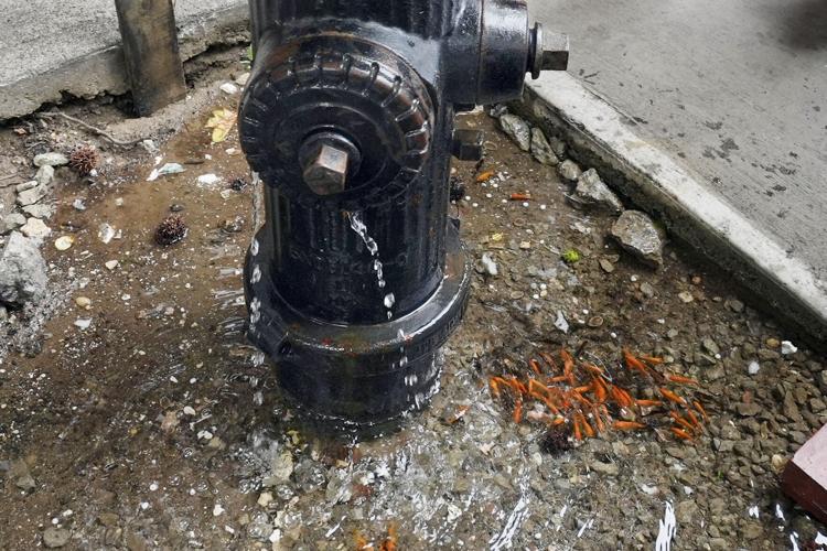 Fire Hydrant Aquarium