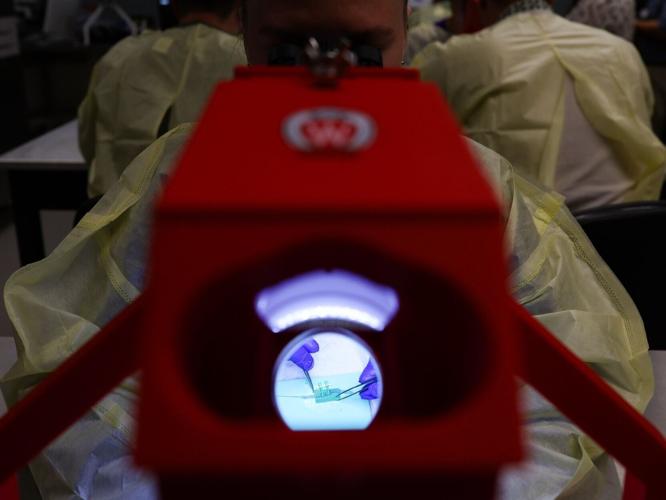 Ukrainian surgeons visit UW-Madison for microsurgery training