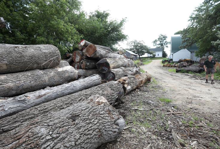 2022072008WoodCycle188-07202022155802