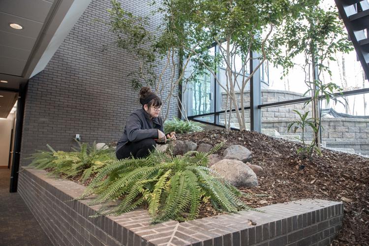 Jamie Hawkins - Horticulture Graduate GTC