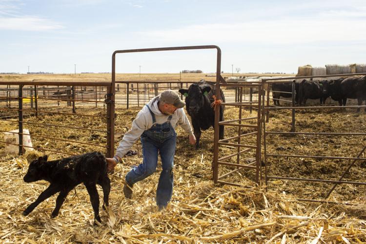 Midwest-Carbon-Pipeline-Lawsuits