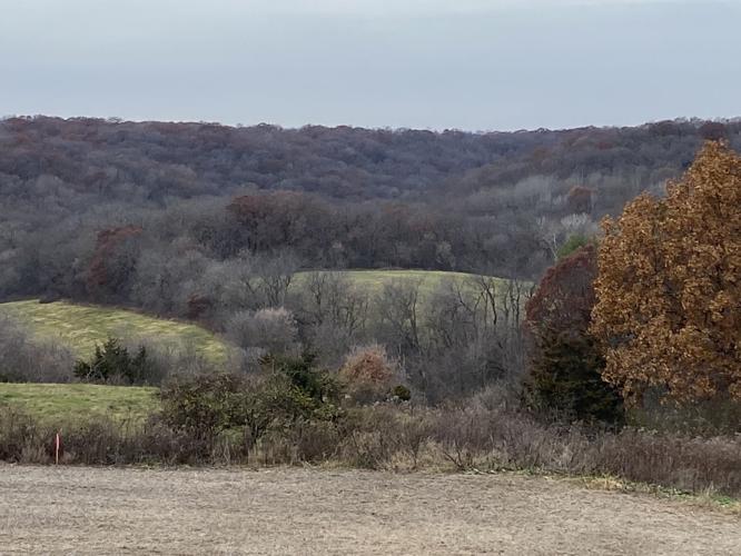 Traditional gun-deer season opens