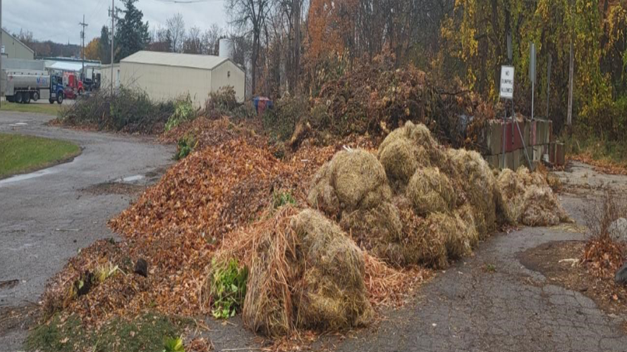 Lake Geneva officials are considering making changes to the brush drop-off site because of the number of  non-residents who have been dropping off debris at the site