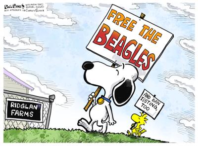 MY VIEW | PHIL HANDS