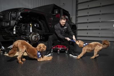 Introducing Mopaw From Mopar: Experts Equipping Four Paws and Four Wheels