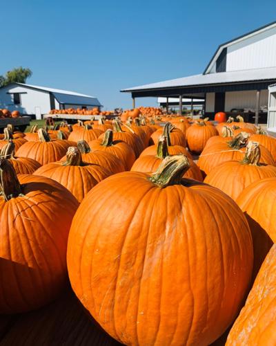 Pearce's Farm Stand 2