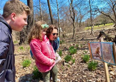 Hawthorn Hollow StoryWalk photo