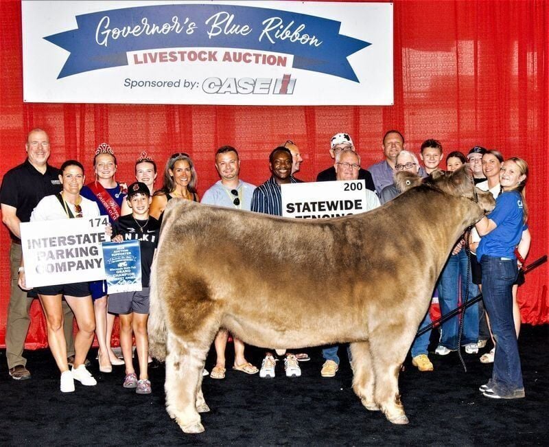 Grand Champion Steer