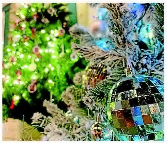 Christmas meals, Santa time & Parade of Trees