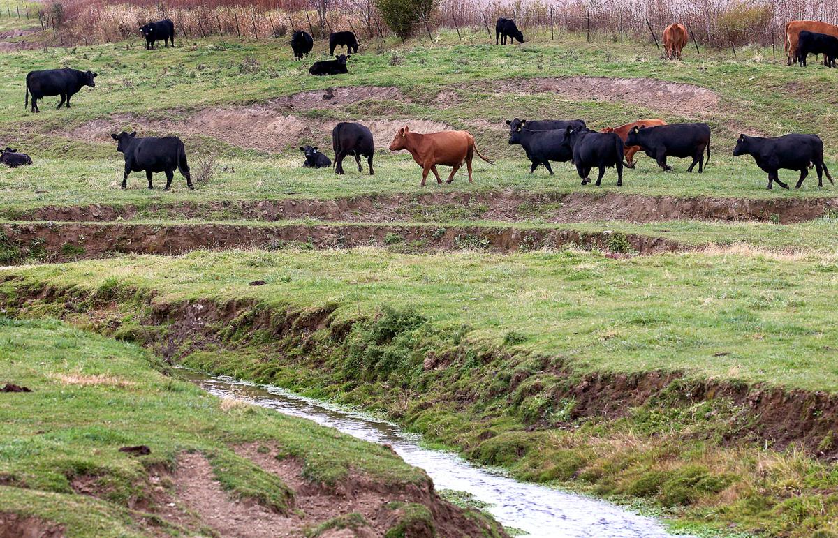 Ways to help rural Wisconsin outlined in new report