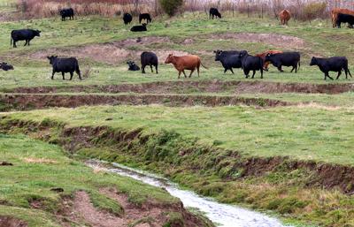 Ways to help rural Wisconsin outlined in new report