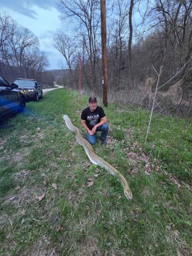 Dumped dead snake 1, Iowa County Sheriff's Office