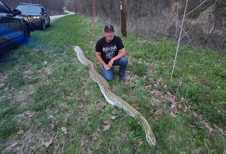 Dumped dead snake 1, Iowa County Sheriff's Office