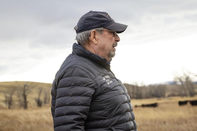 Bill Galt checks cattle