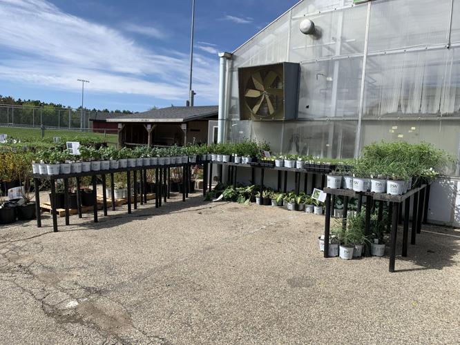 The Badger High School greenhouse features a variety of plants for people to purrchase