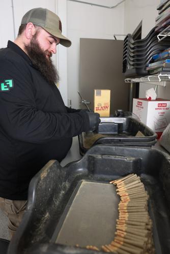 La Crosse Cannabis farm