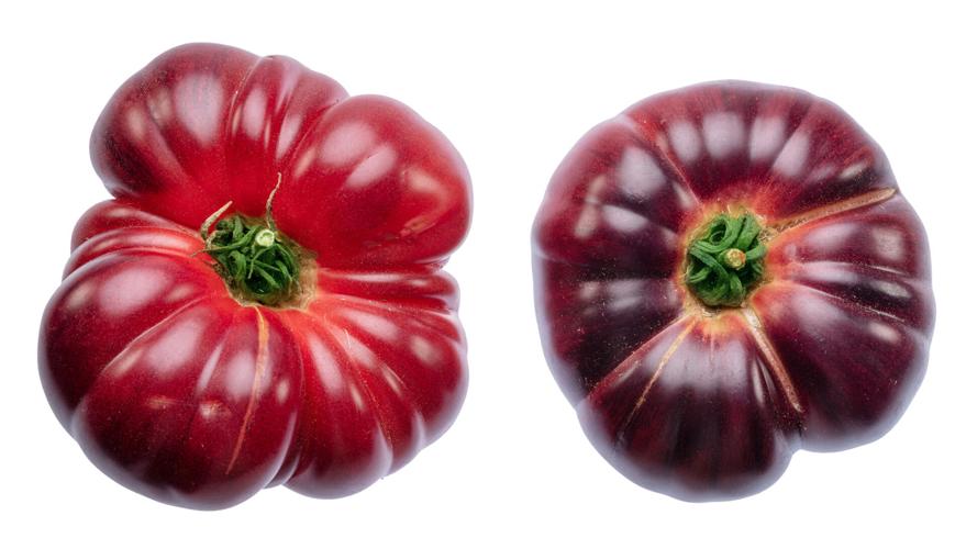 Cherokee purple tomatoes