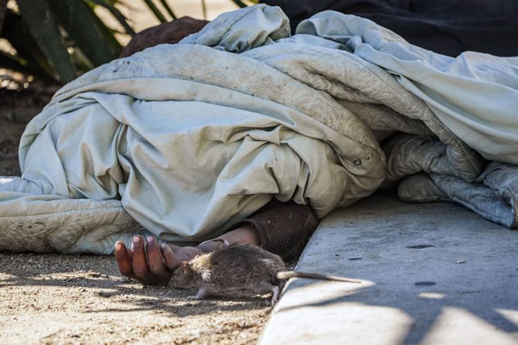 Los Angeles Homeless