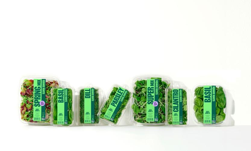 Assorted greens and herbs