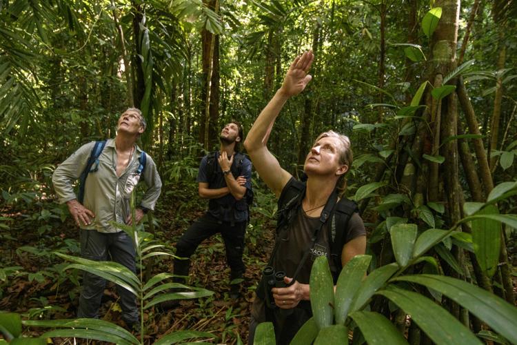 Queens - Evans, van Alphen, Fogg