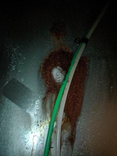 Michele Bethke's refrigerator