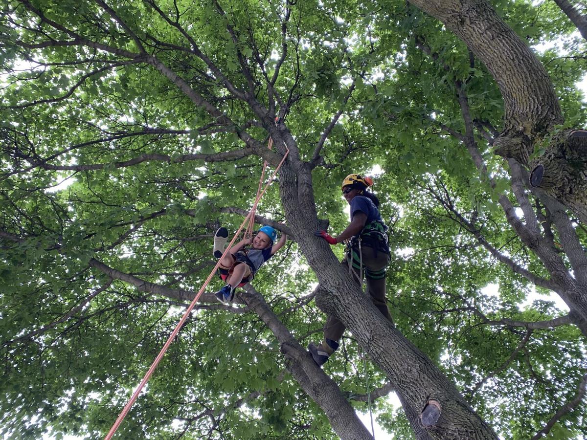 Kids climb