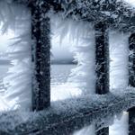 Resort cover January 7, 2021: Hoarfrost by the Riviera