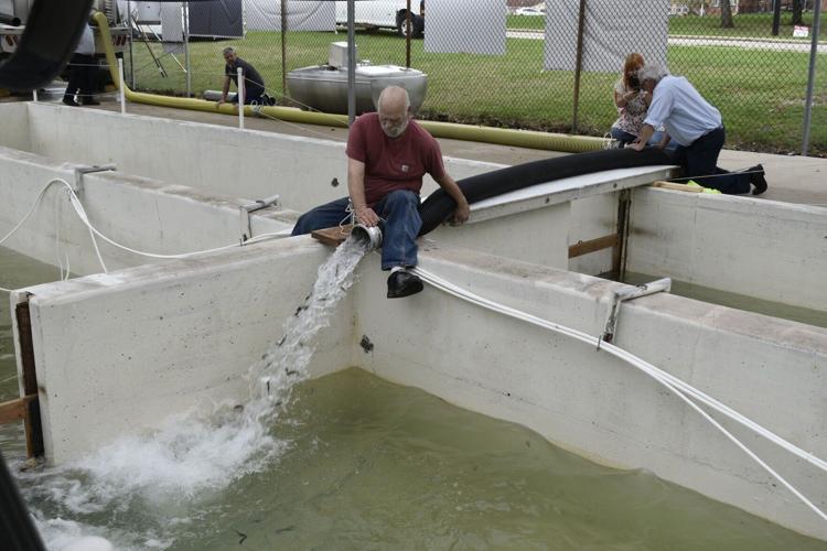 KSFCA receives salmon fingerlings