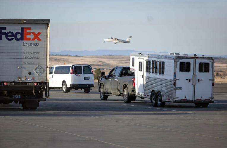 Horse flies FedEx from Alabama to Billings to get prosthetic leg in Cody