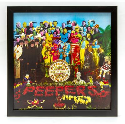 "Sgt. Peepers Lonely Hearts Club Band"