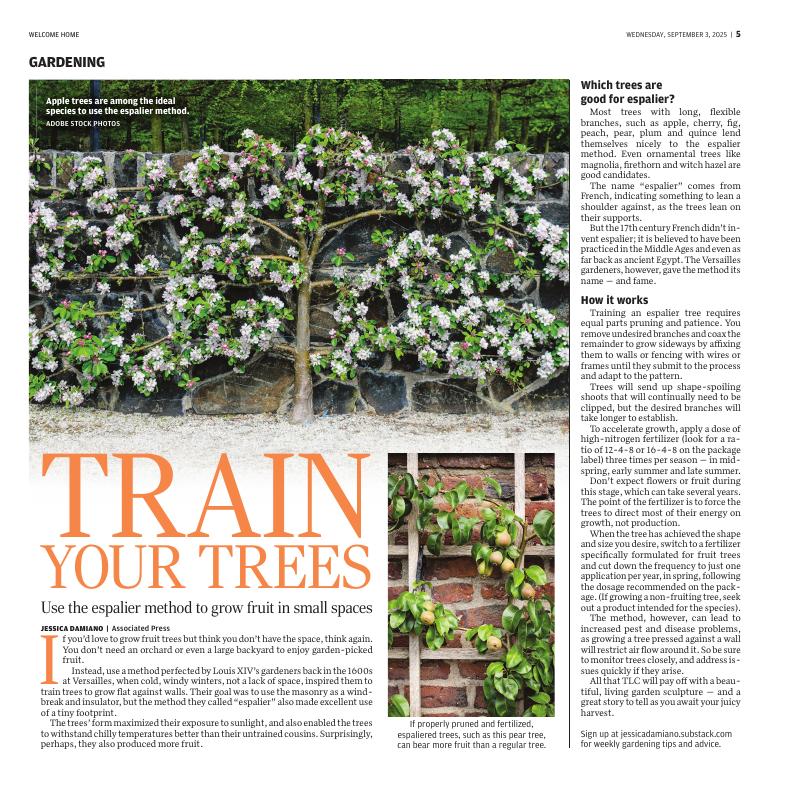 Page L5
