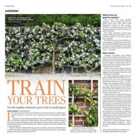Page L5
