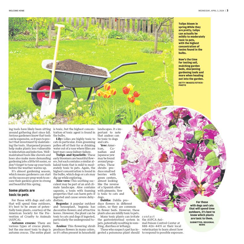 Page L3