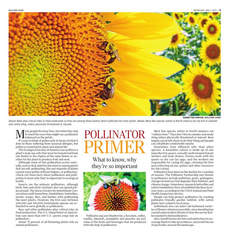 Page L5