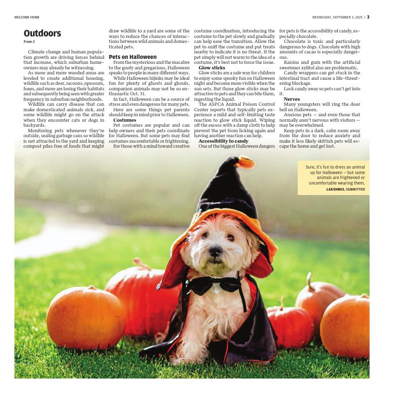 Page L3