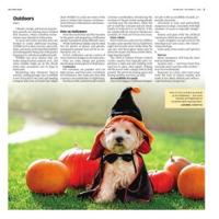 Page L3