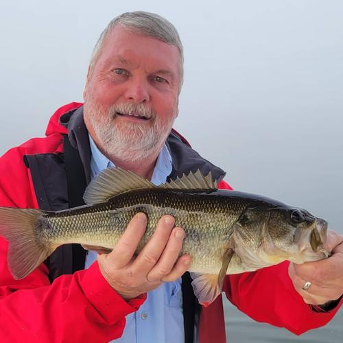  Largemouth Bass Chasing A Vertical Fishing Lure T