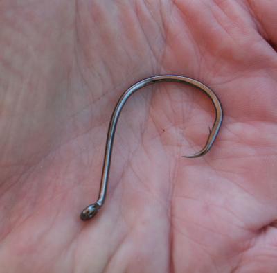 Are you using circle hooks?, Outdoors