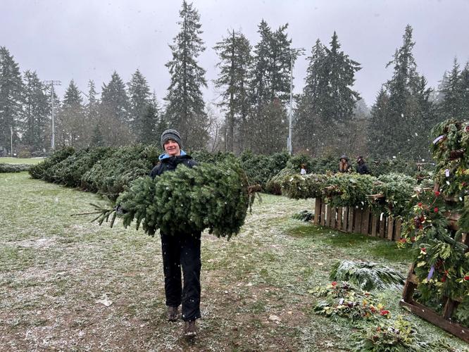 Lake Oswego Scouts sell Christmas trees for 75th year Commerce