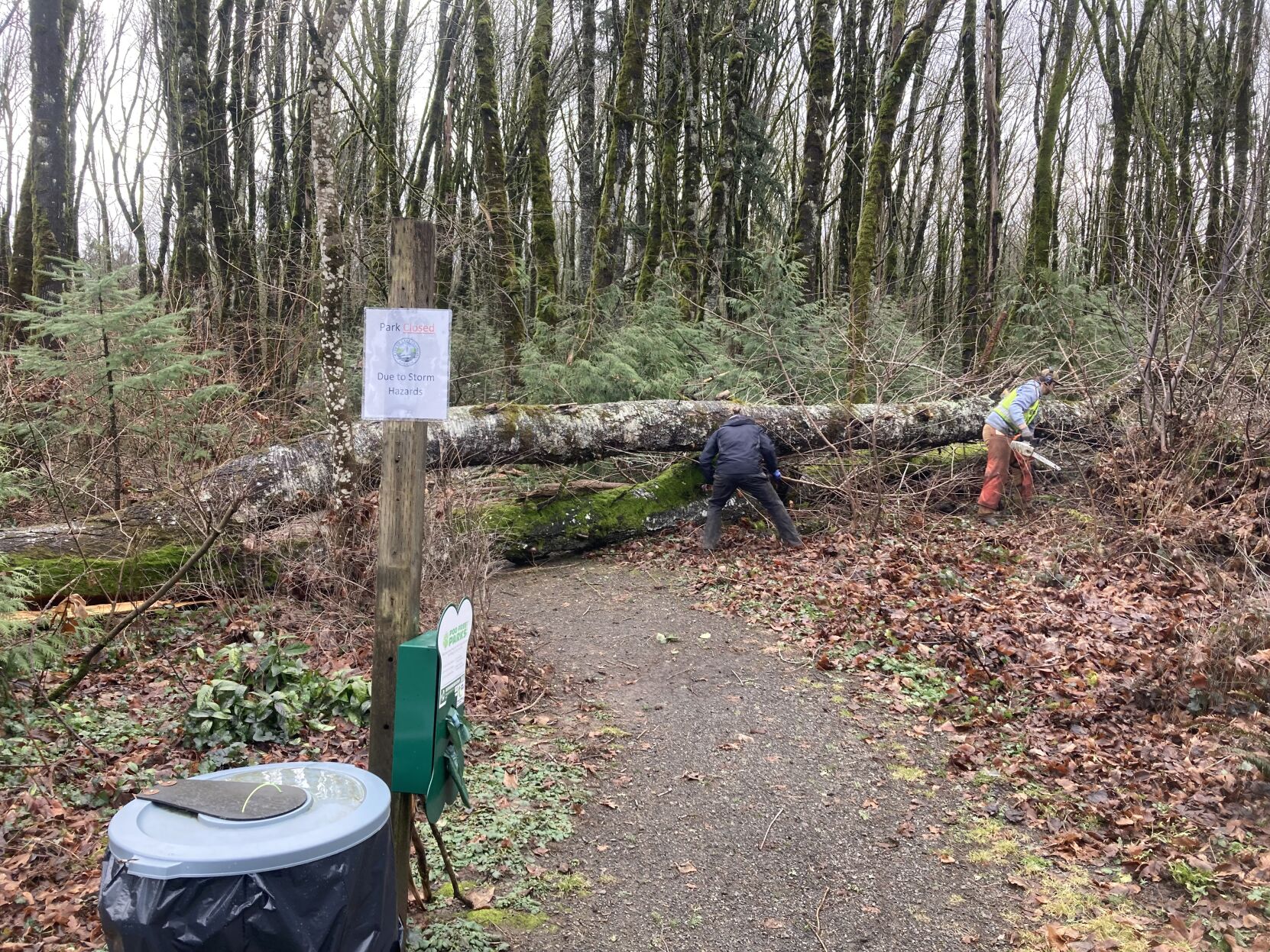 How Is Lake Oswego S Cleanup Of Local Parks From The Storm Going   65c3f8e6d921d.image 