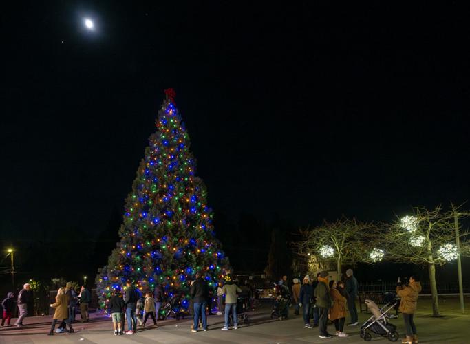 Locals soak in holiday spirit at Lake Oswego Tree Lighting Festival