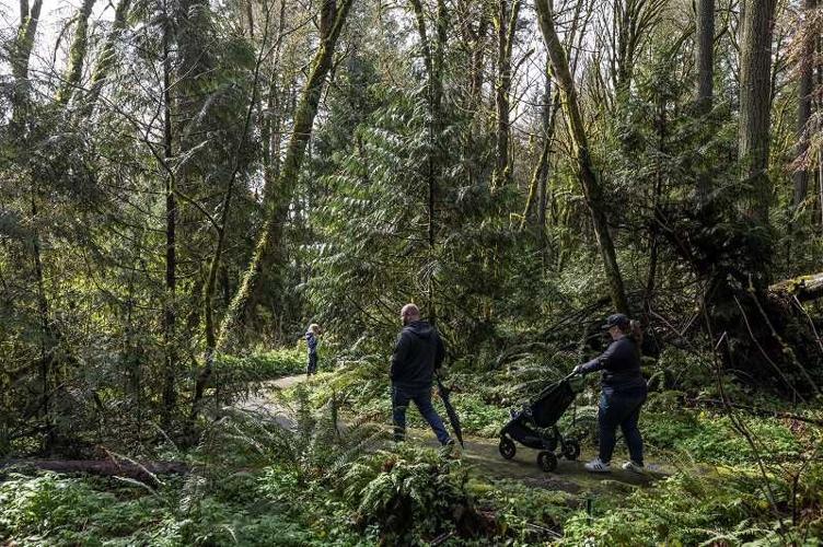 What to do around Lake Oswego during Spring Break News