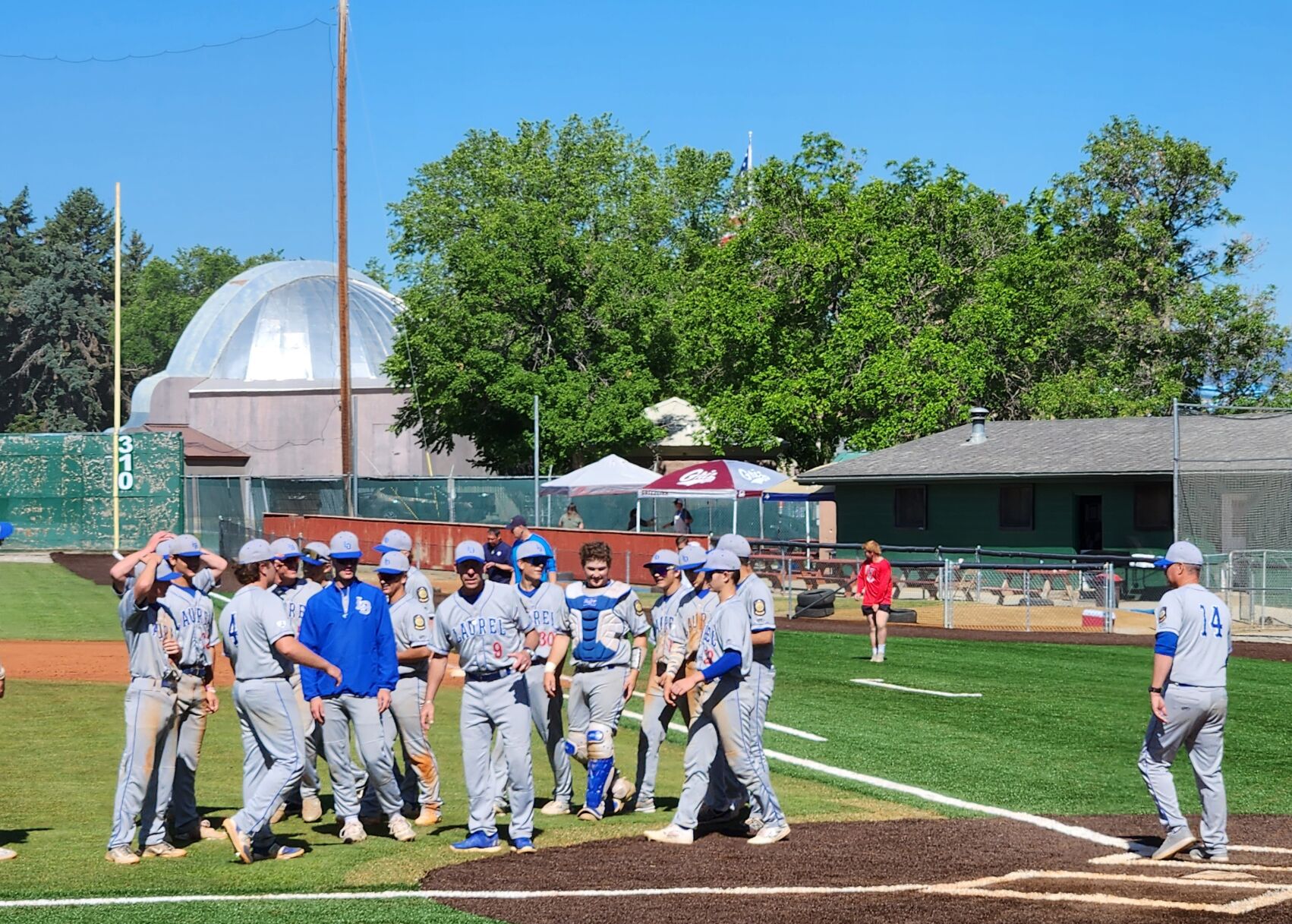 After Big Run In Helena, Laurel Dodgers Go Down In The Championship ...