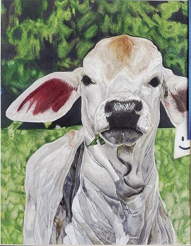Best in Show