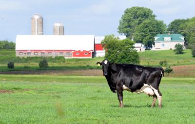 Farmers May Be Eligible For Unemployment Benefits Country Updates Leadertelegram Com