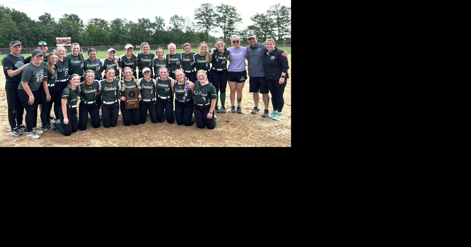 Fall Creek softball team earns return trip to state | Sports ...