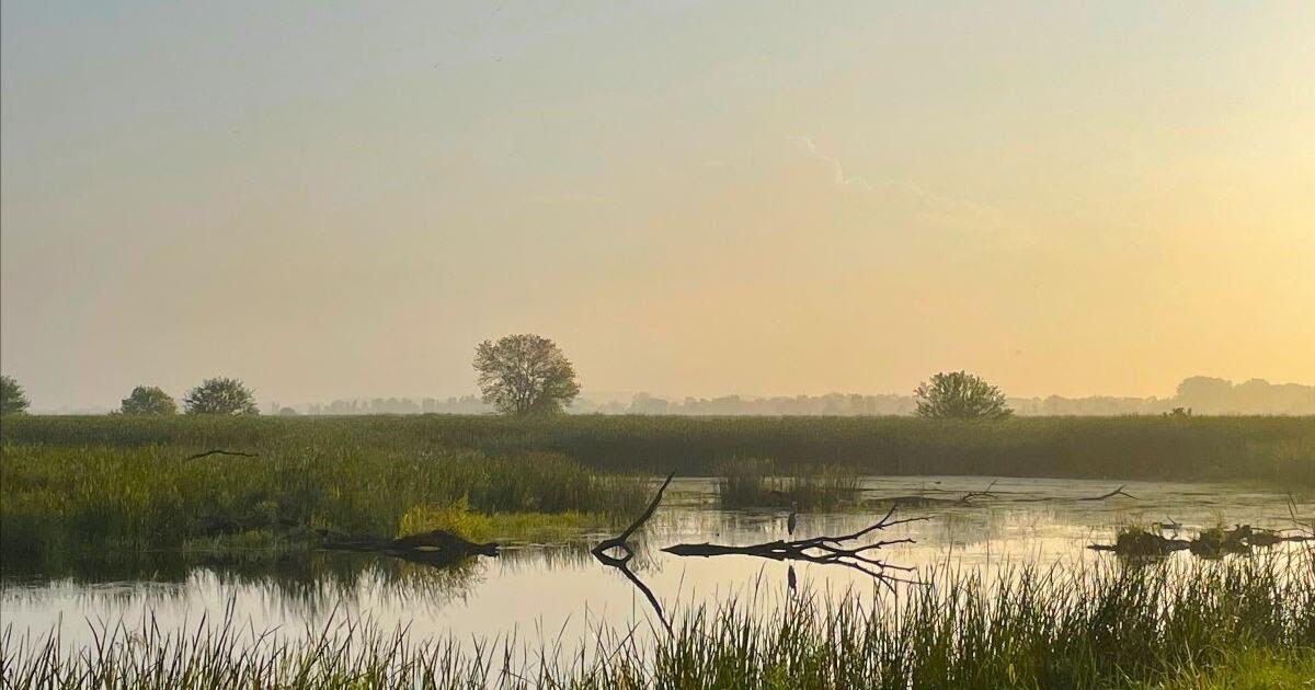 Wetlands at Lake Mills Wildlife Area