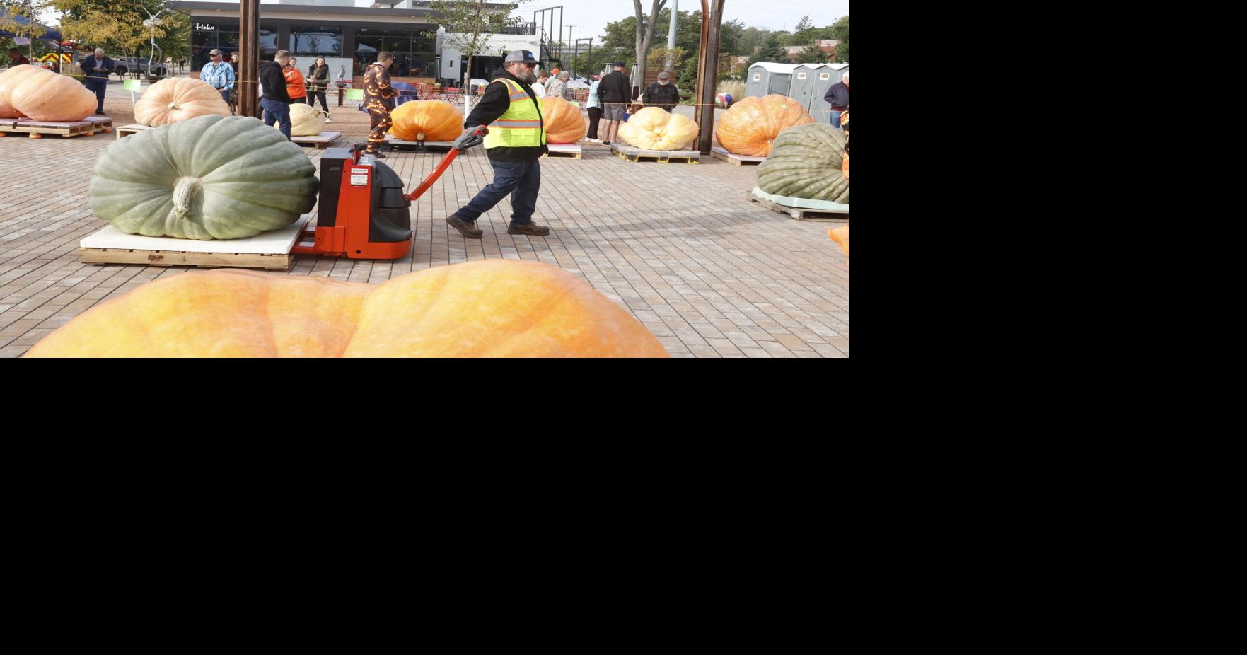 Altoona's ginormous pumpkins return