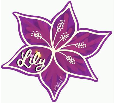 Artist creates window art to honor Lily Peters | Daily ...