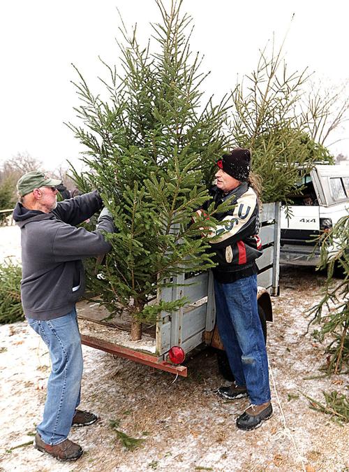 Free Trees